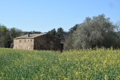 Masia al Plà de l'Estany