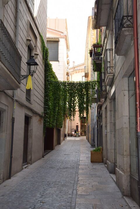 Fastastic duplex with terrace in the Old Town