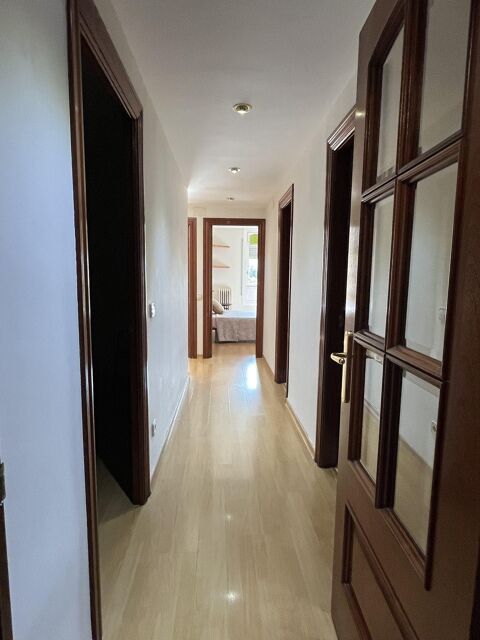4 room apartment for students