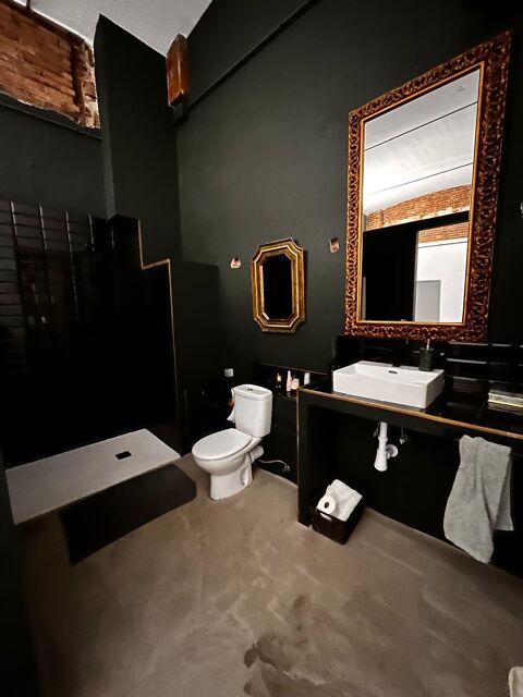 Loft indústrial en venta